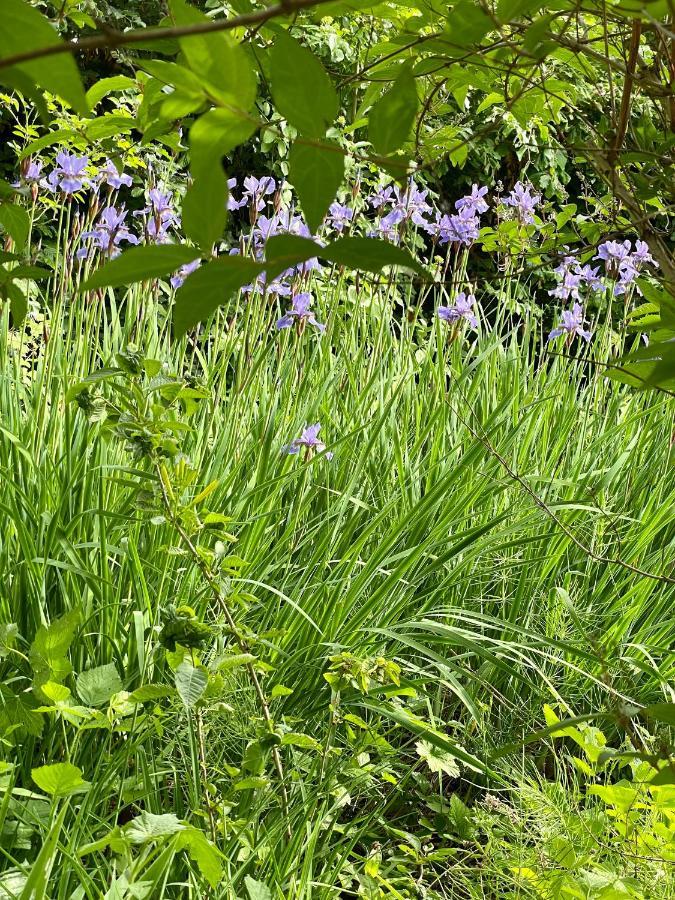 Freiblick 1 Bad Glbg Mit Garten Top1 Bad Gleichenberg Exterior foto