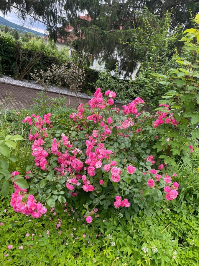 Freiblick 1 Bad Glbg Mit Garten Top1 Bad Gleichenberg Exterior foto